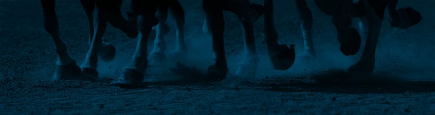 horse race betting