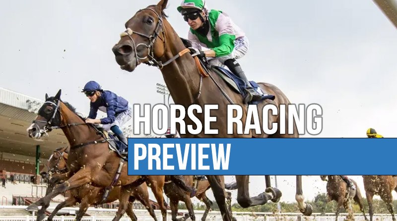 Horse Preview